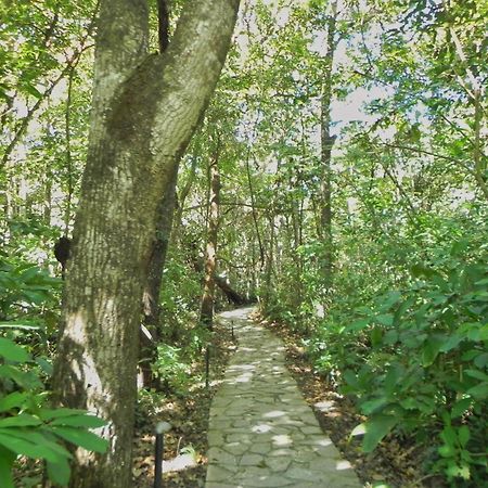 Pousada Eden - Conforto, Imersao E Natureza São Jorge 외부 사진